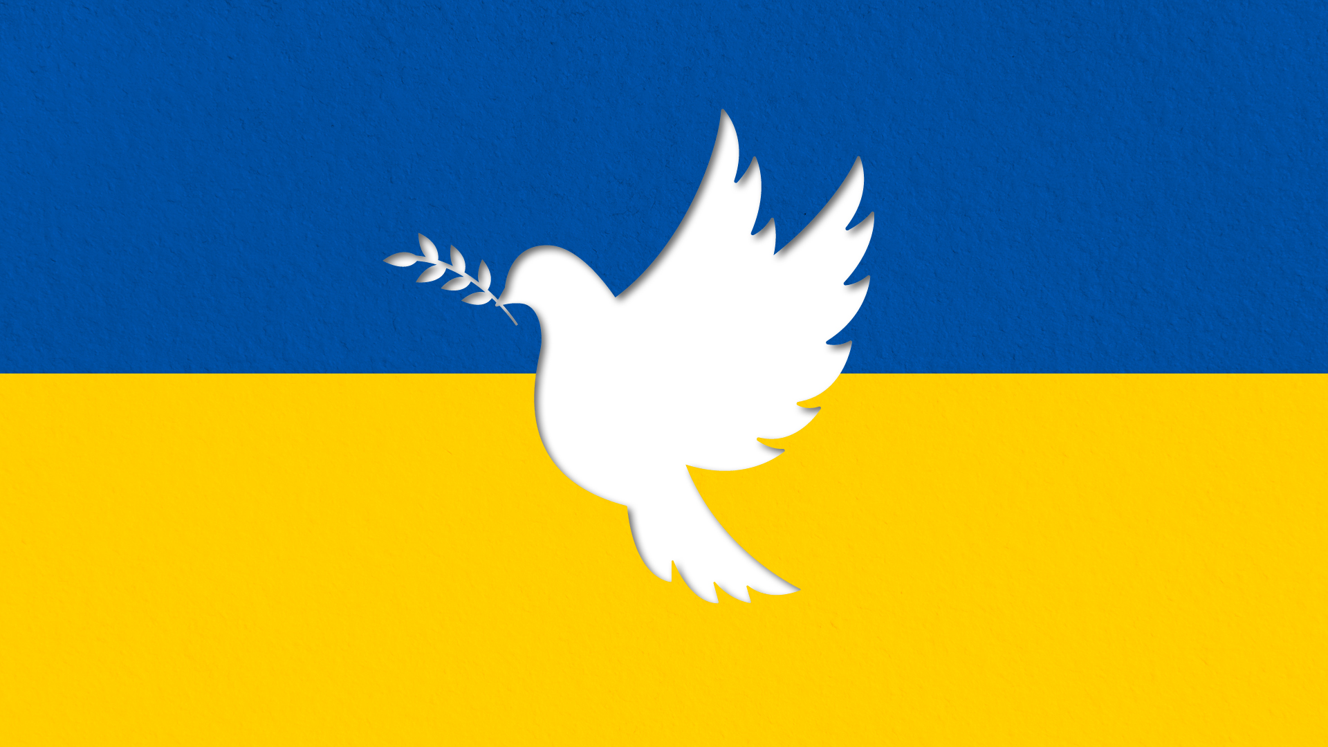 You are currently viewing MVZ Radiologie unterer Niederrhein beteiligt sich an Spendenaktion für die Ukraine